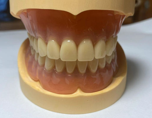 Buy Easy To Clean Full Acrylic Denture Highly Elastic for long term use online manufacture