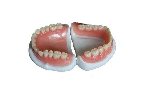 Buy Removable All Acrylic Partial Denture Natural Looking Easy To Maintain online manufacture