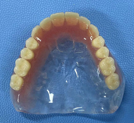 Buy Stain Resistance Full Acrylic Denture High Stability with Full Arch Shape online manufacture
